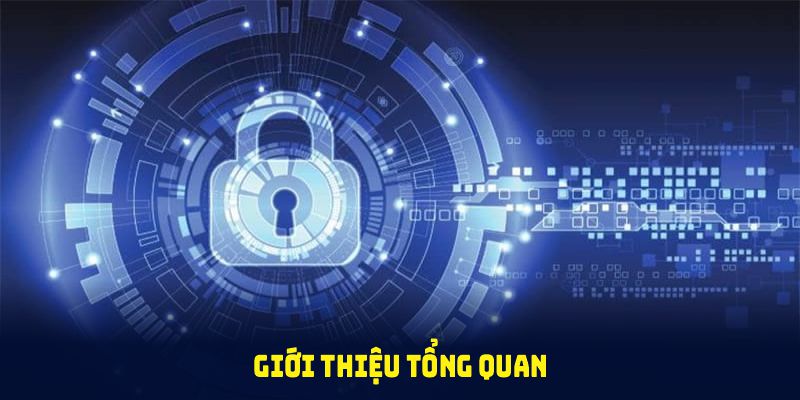 Giới thiệu tổng quan về chính sách bảo mật 12BET